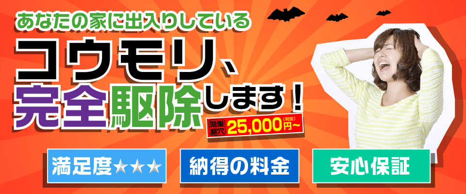 そのコウモリ、完全駆除します！福岡　大分他九州圏内、四国各県、全国どこでも　巣穴閉塞2万5千円から　株式会社リード　コウモリ駆除対策本部　満足度星３つ　納得の料金　安心保証　コウモリの影に頭を抱える主婦