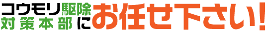 福岡 大分他九州圏内、四国各県、全国どこでも コウモリ駆除対策本部にお任せ下さい!